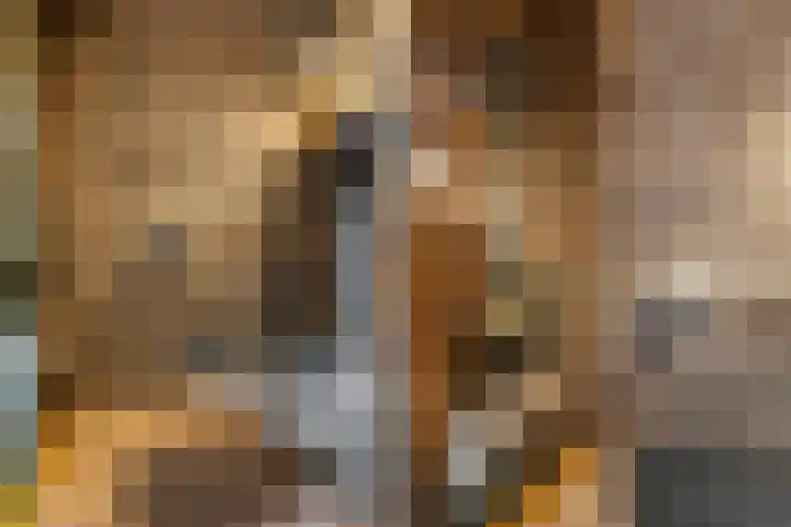 C. van Leeuwenstraat 7 Woerden thumbnail 8