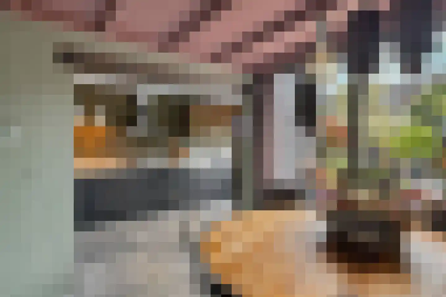 C. van Leeuwenstraat 9 Woerden thumbnail 10