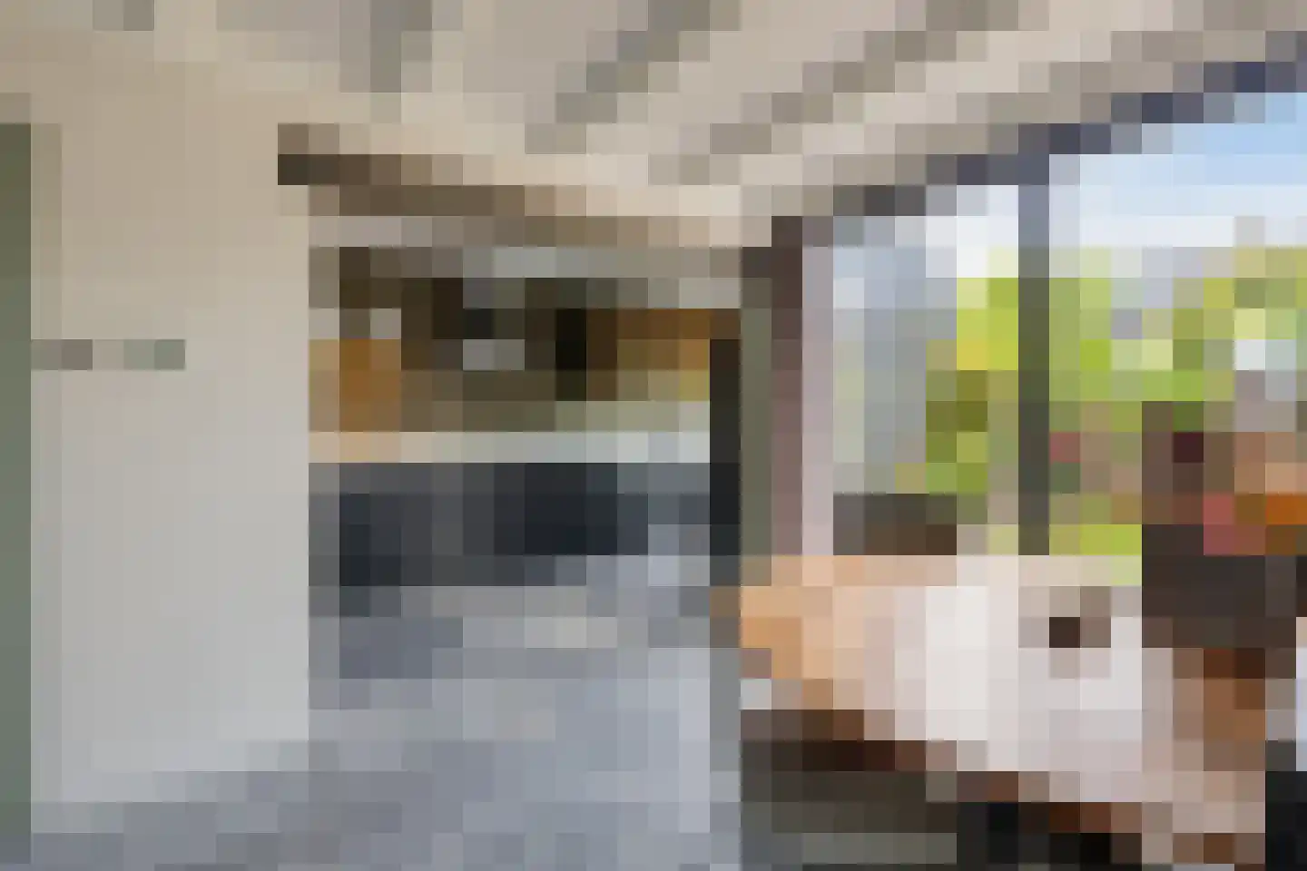 C. van Leeuwenstraat 9 Woerden thumbnail 11