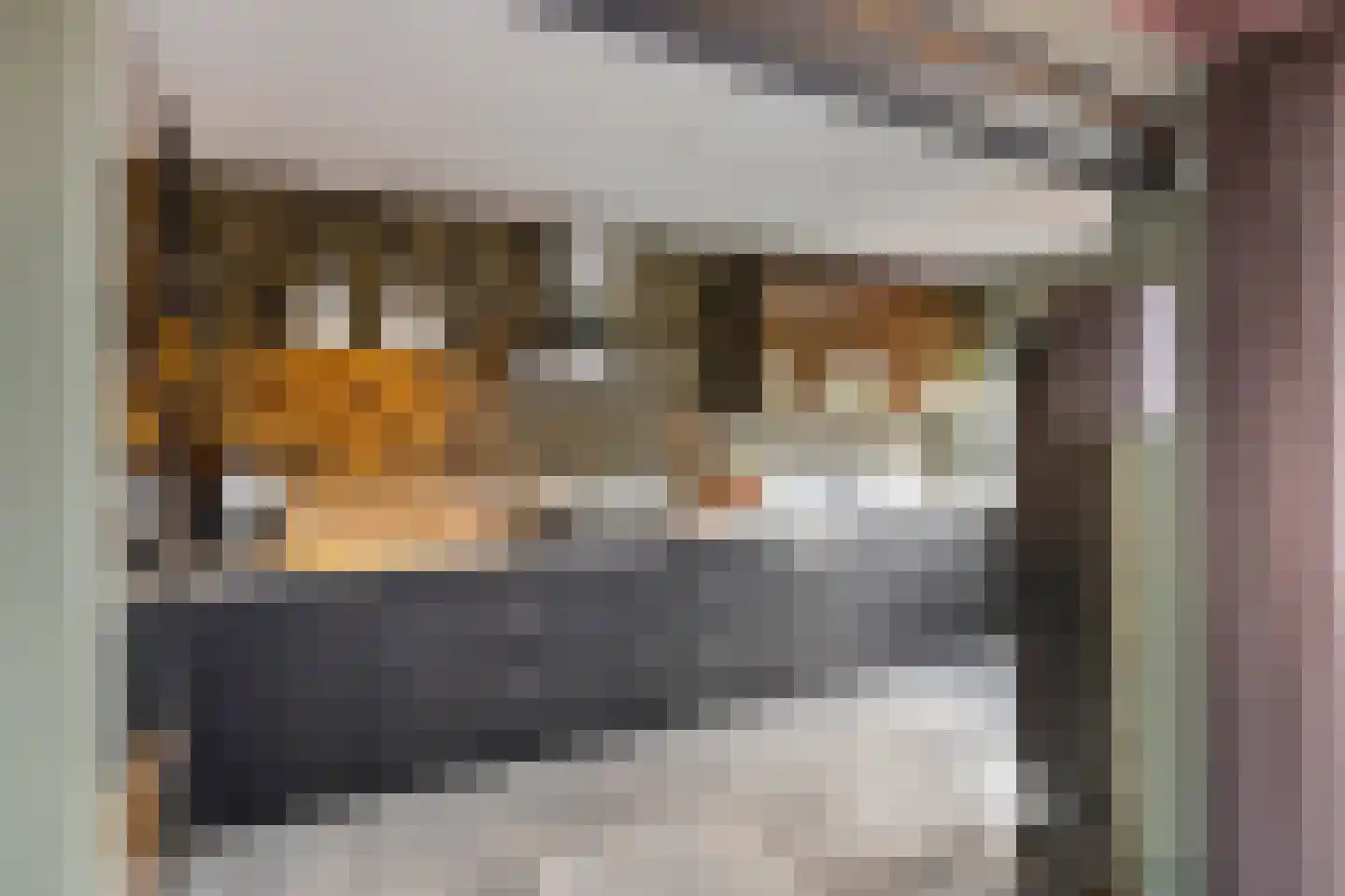 C. van Leeuwenstraat 9 Woerden thumbnail 11