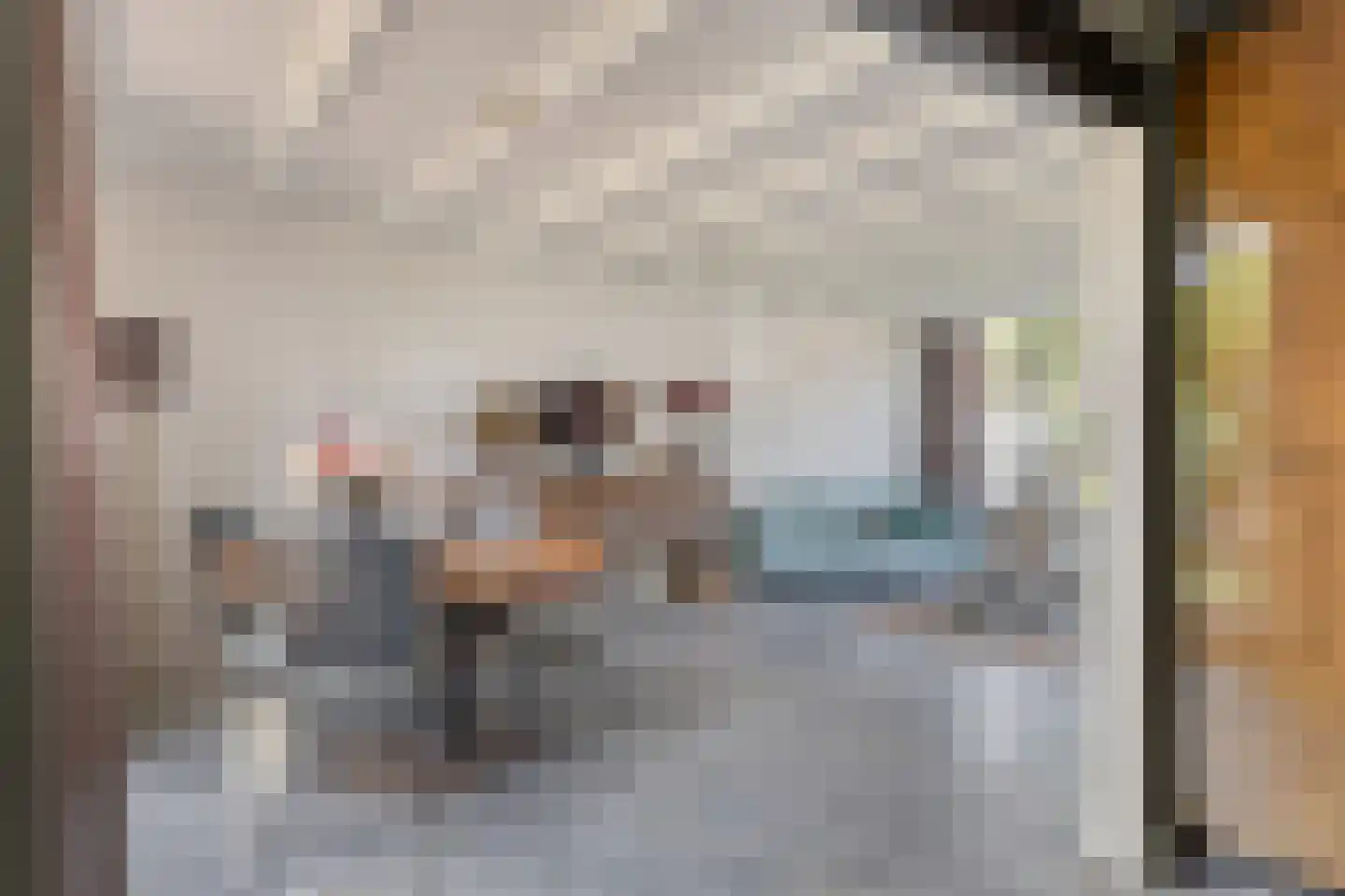 C. van Leeuwenstraat 9 Woerden thumbnail 12