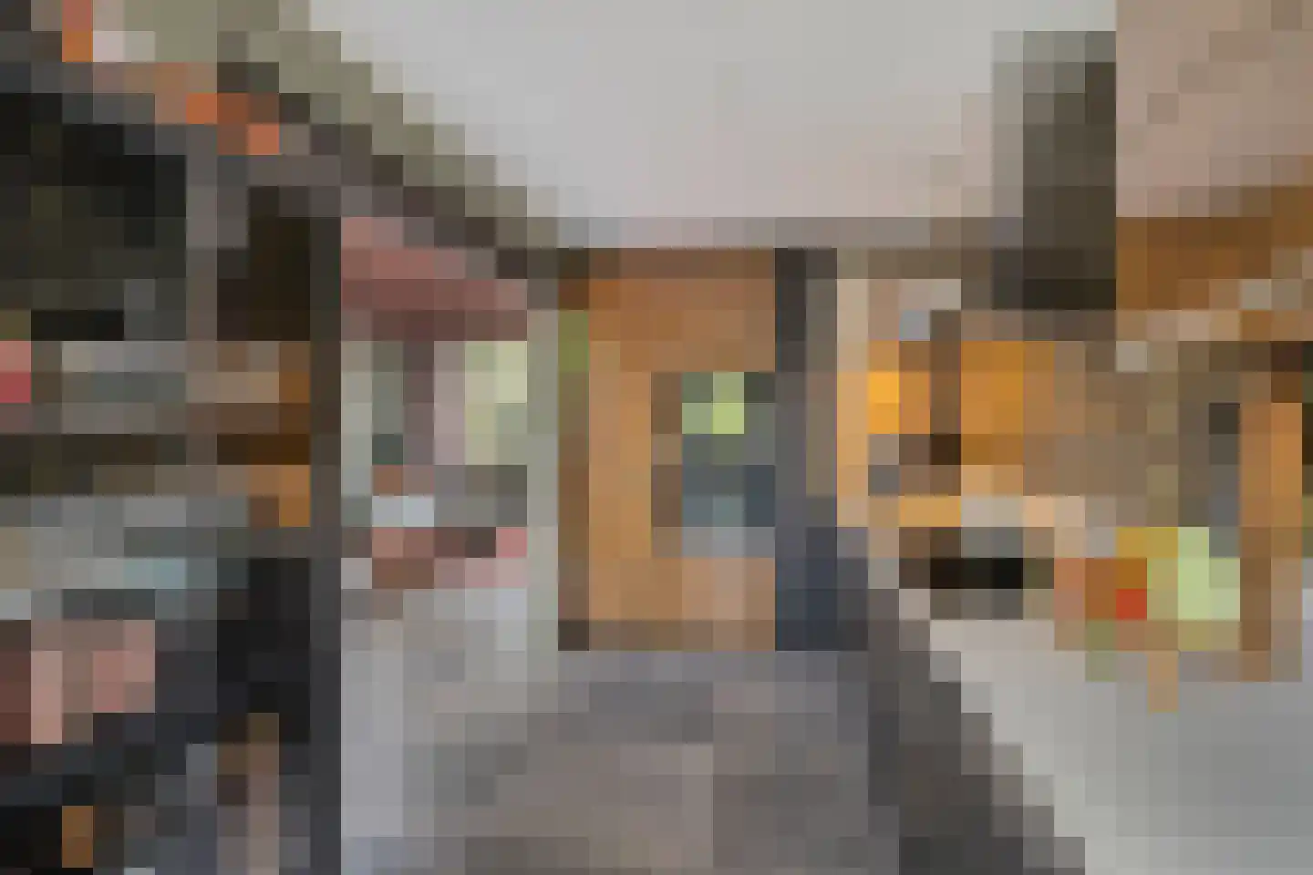 C. van Leeuwenstraat 9 Woerden thumbnail 12