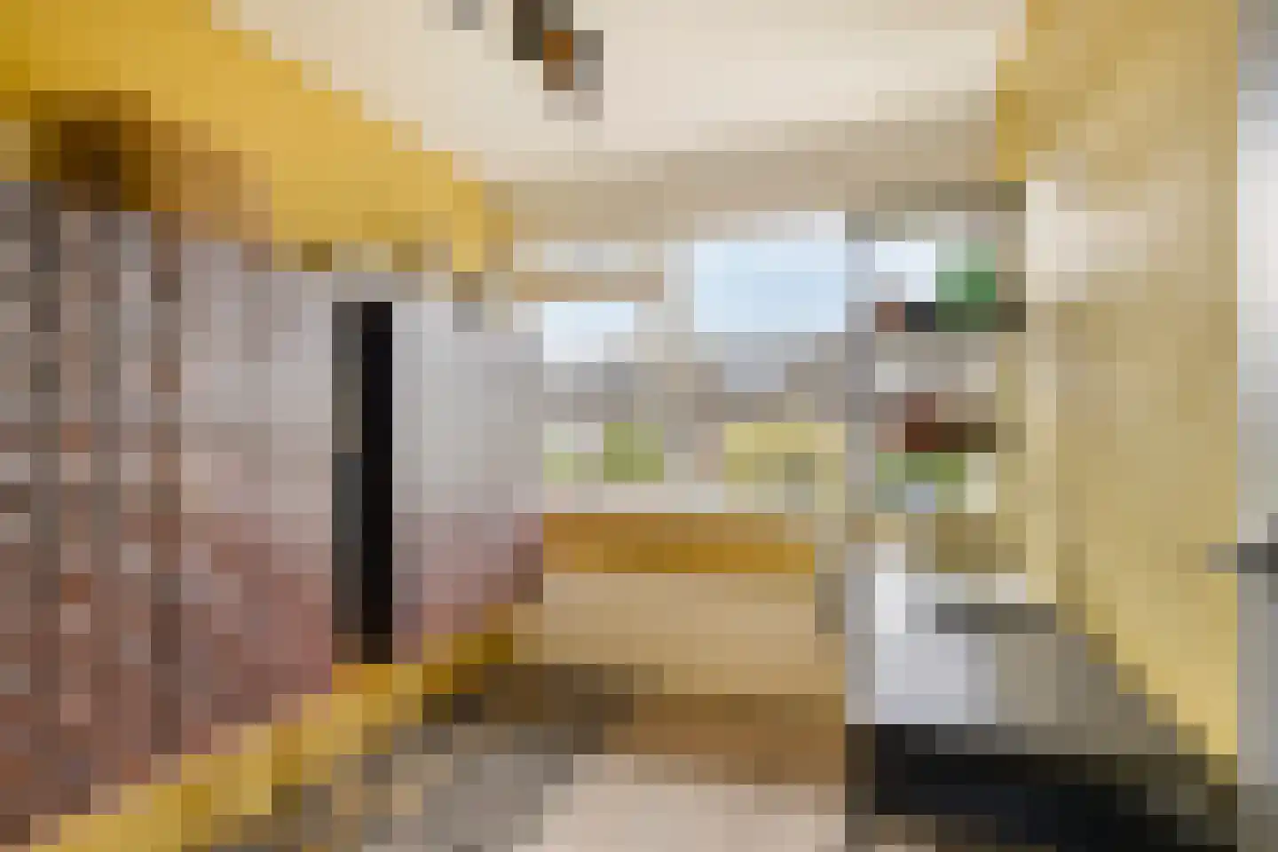 C. van Leeuwenstraat 9 Woerden thumbnail 17