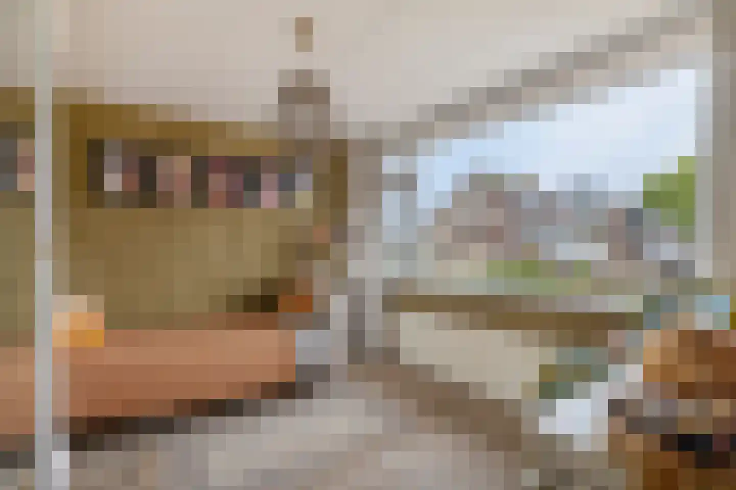 C. van Leeuwenstraat 9 Woerden thumbnail 18