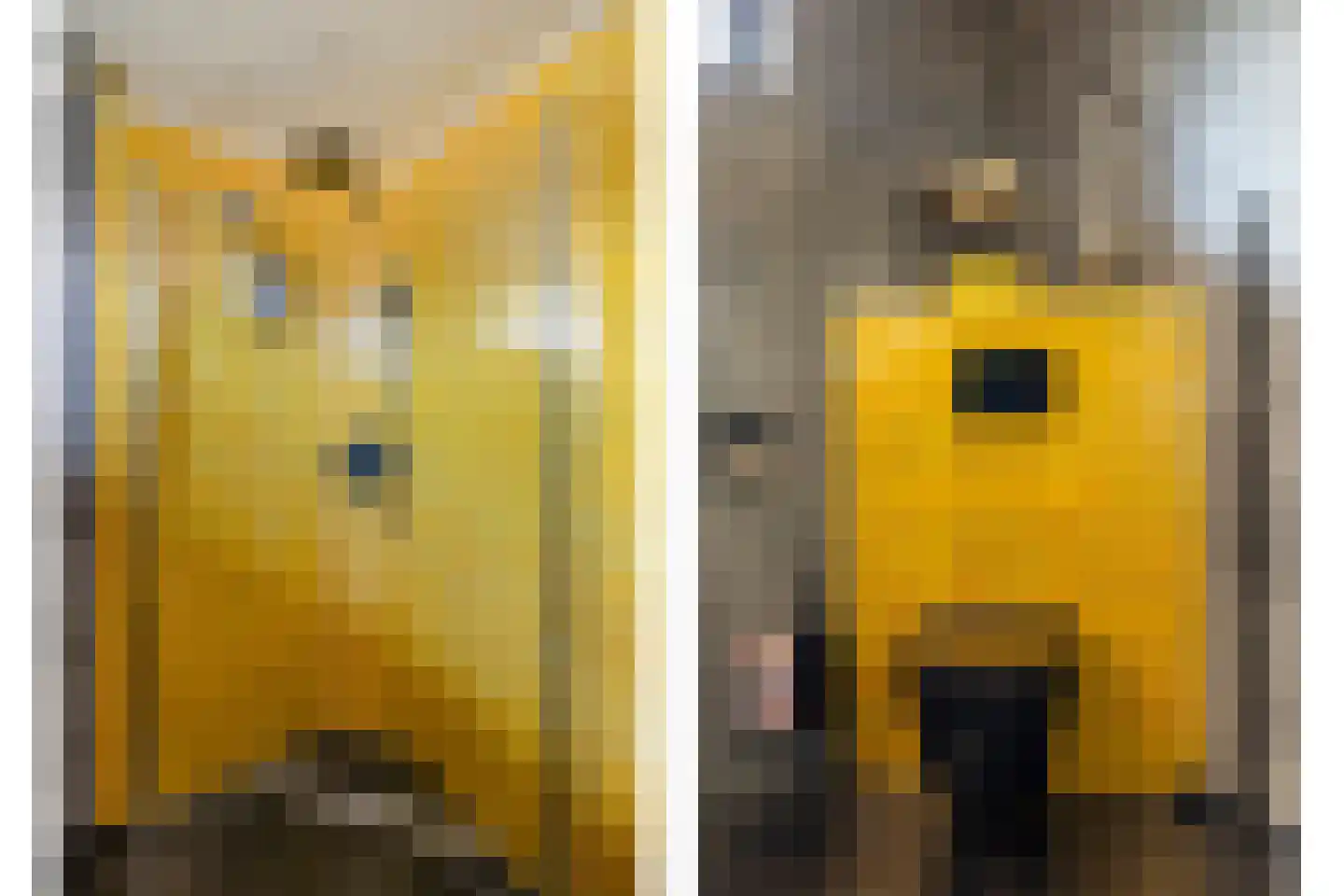 C. van Leeuwenstraat 9 Woerden thumbnail 21