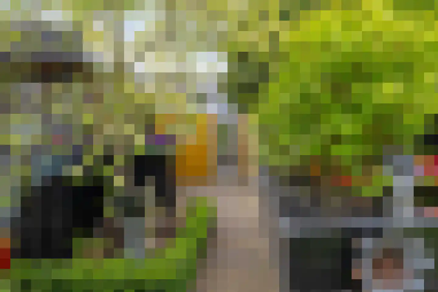 C. van Leeuwenstraat 9 Woerden thumbnail 30