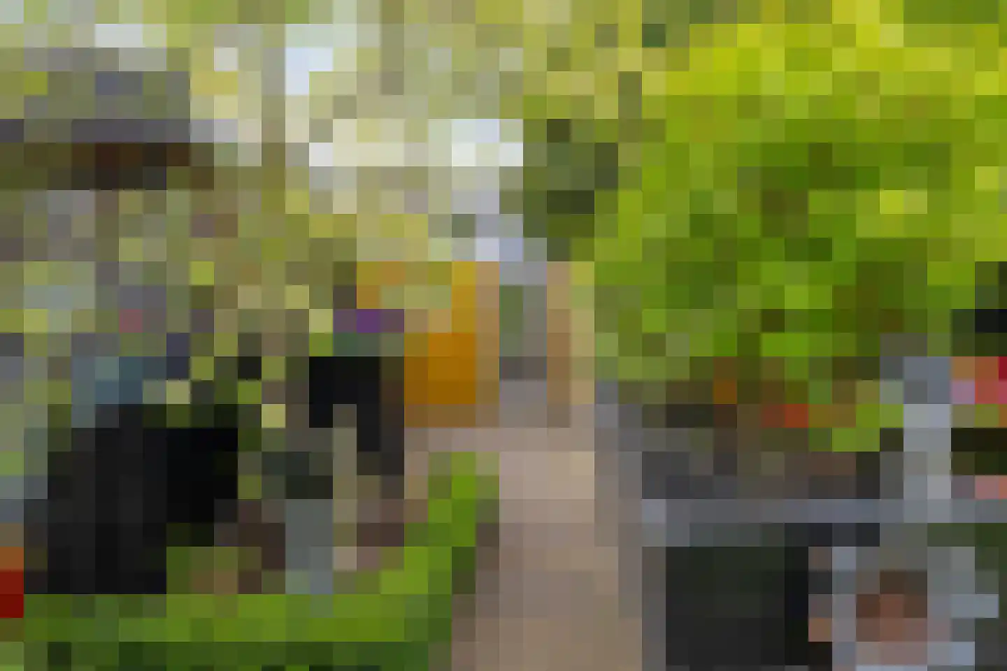 C. van Leeuwenstraat 9 Woerden thumbnail 30
