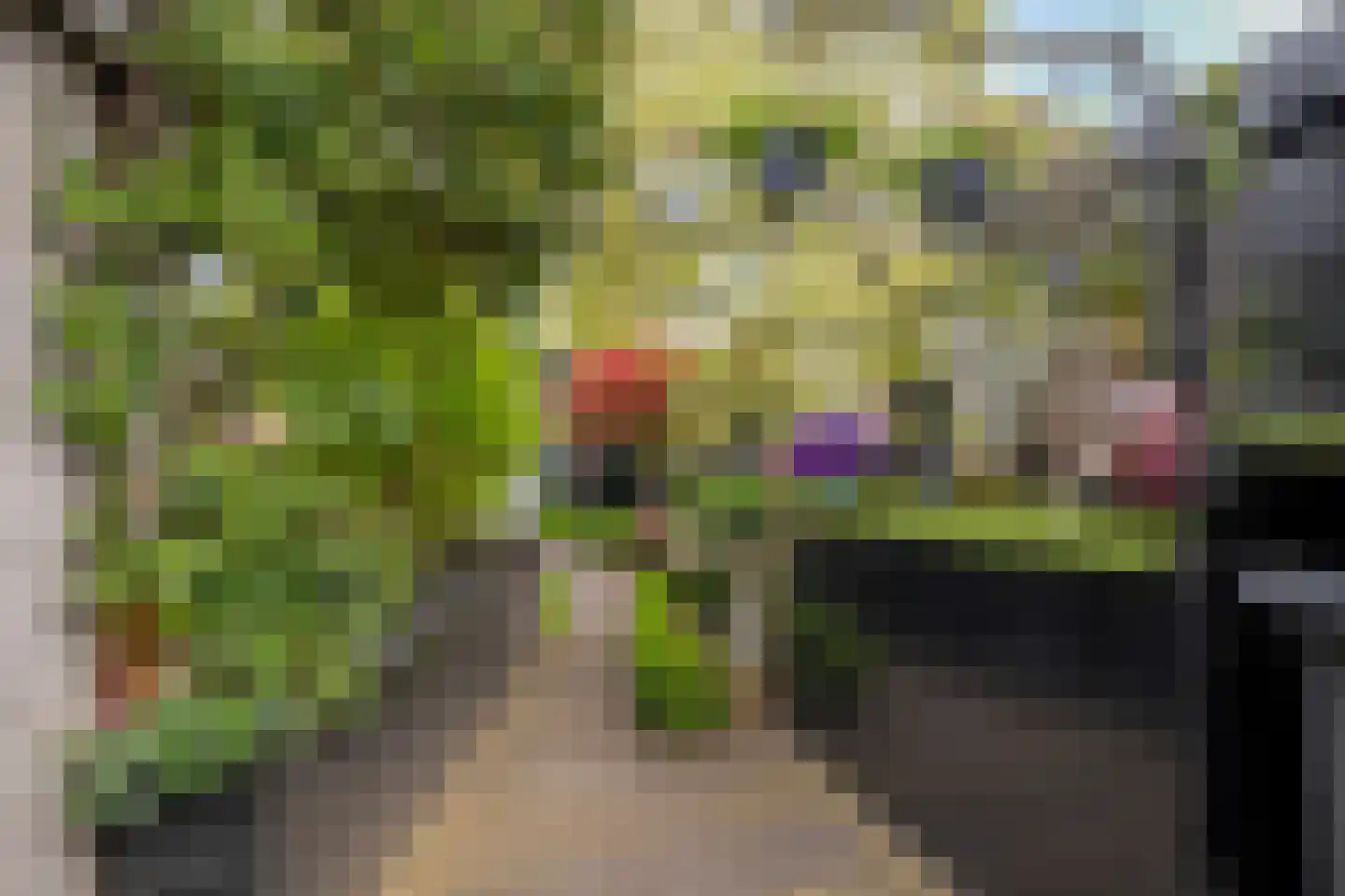 C. van Leeuwenstraat 9 Woerden thumbnail 31