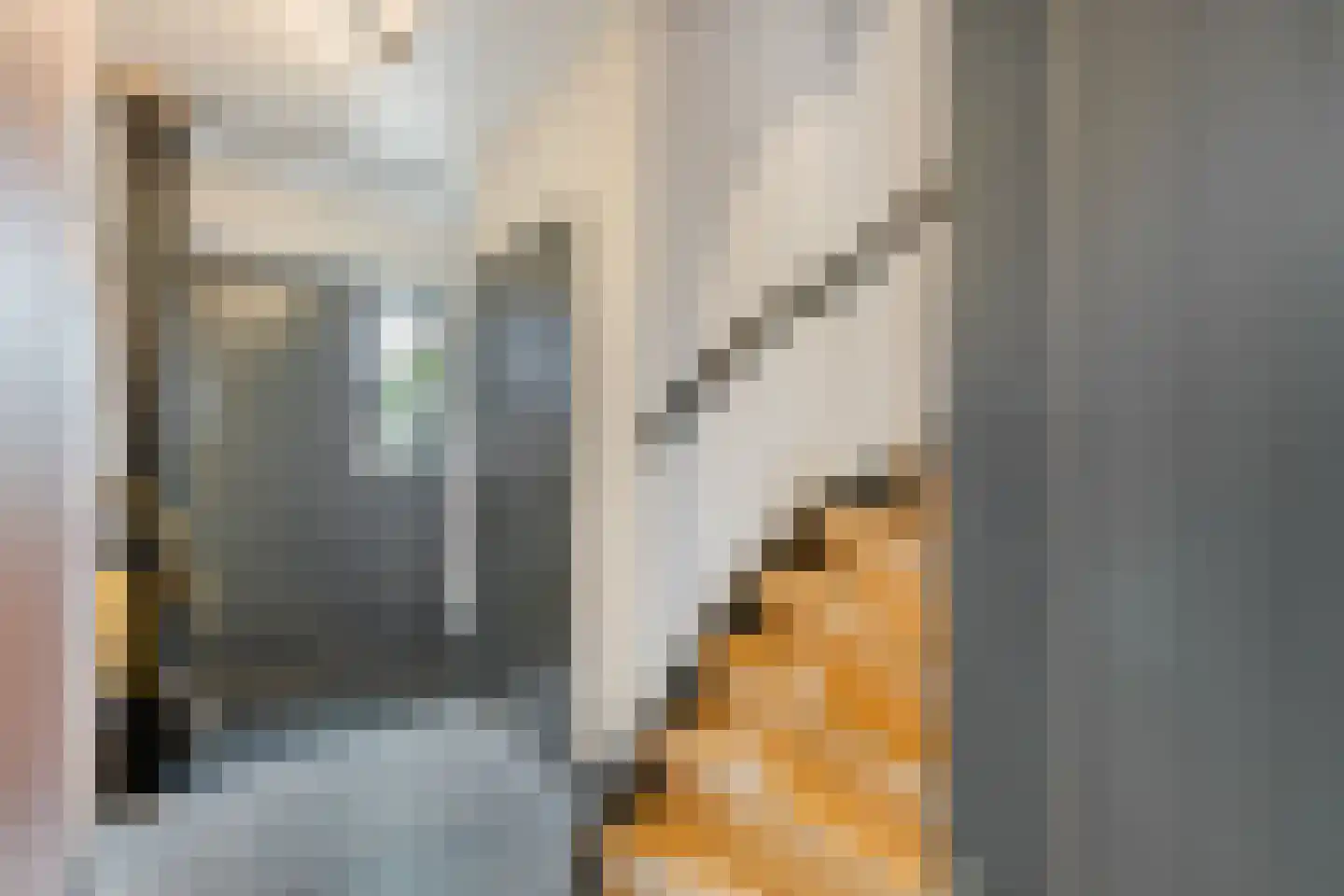 C. van Leeuwenstraat 9 Woerden thumbnail 5