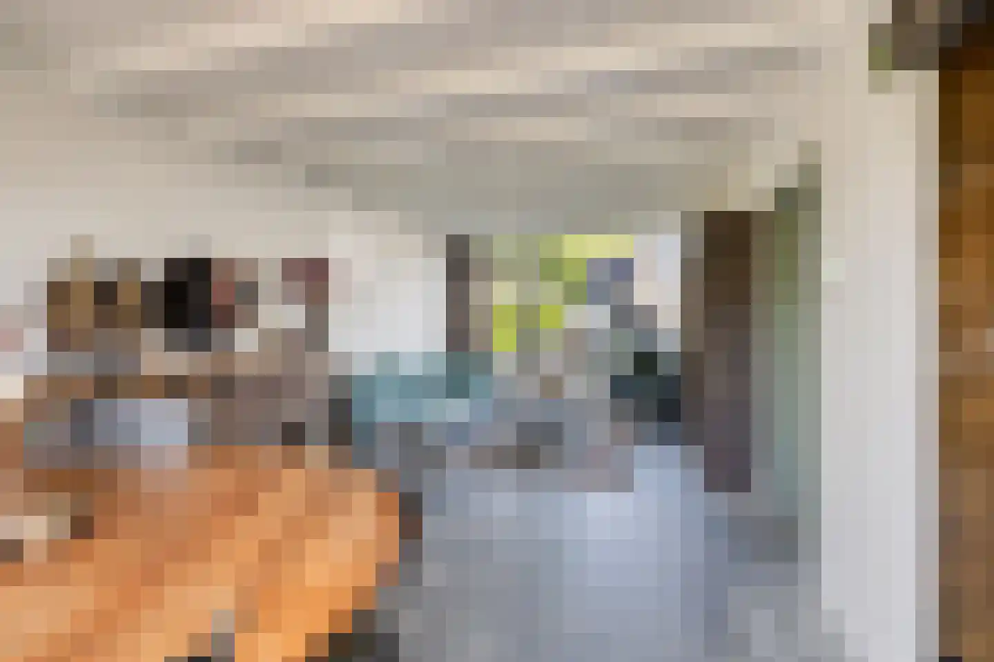 C. van Leeuwenstraat 9 Woerden thumbnail 8