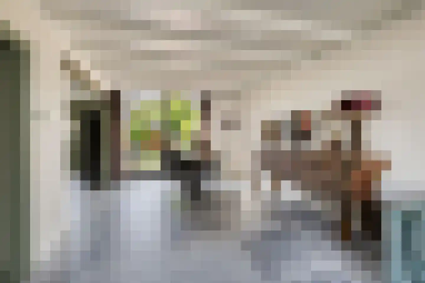 C. van Leeuwenstraat 9 Woerden thumbnail 9