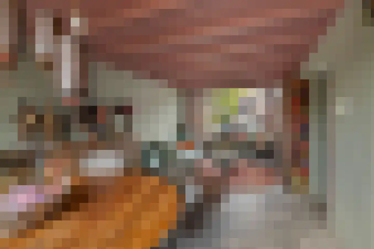 C. van Leeuwenstraat 9 Woerden thumbnail 9