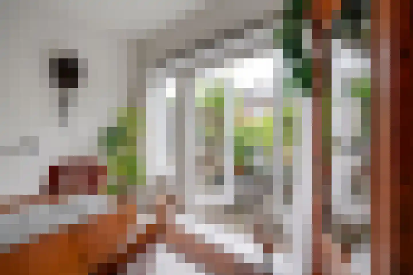 C. van Maasdijkstraat 12 Utrecht thumbnail 17