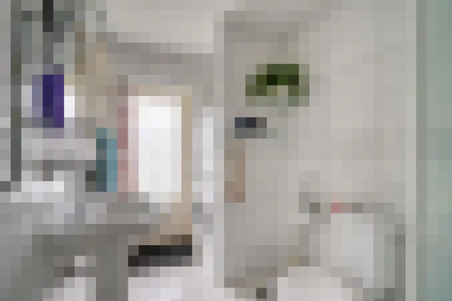 C. van Maasdijkstraat 12 Utrecht thumbnail 33