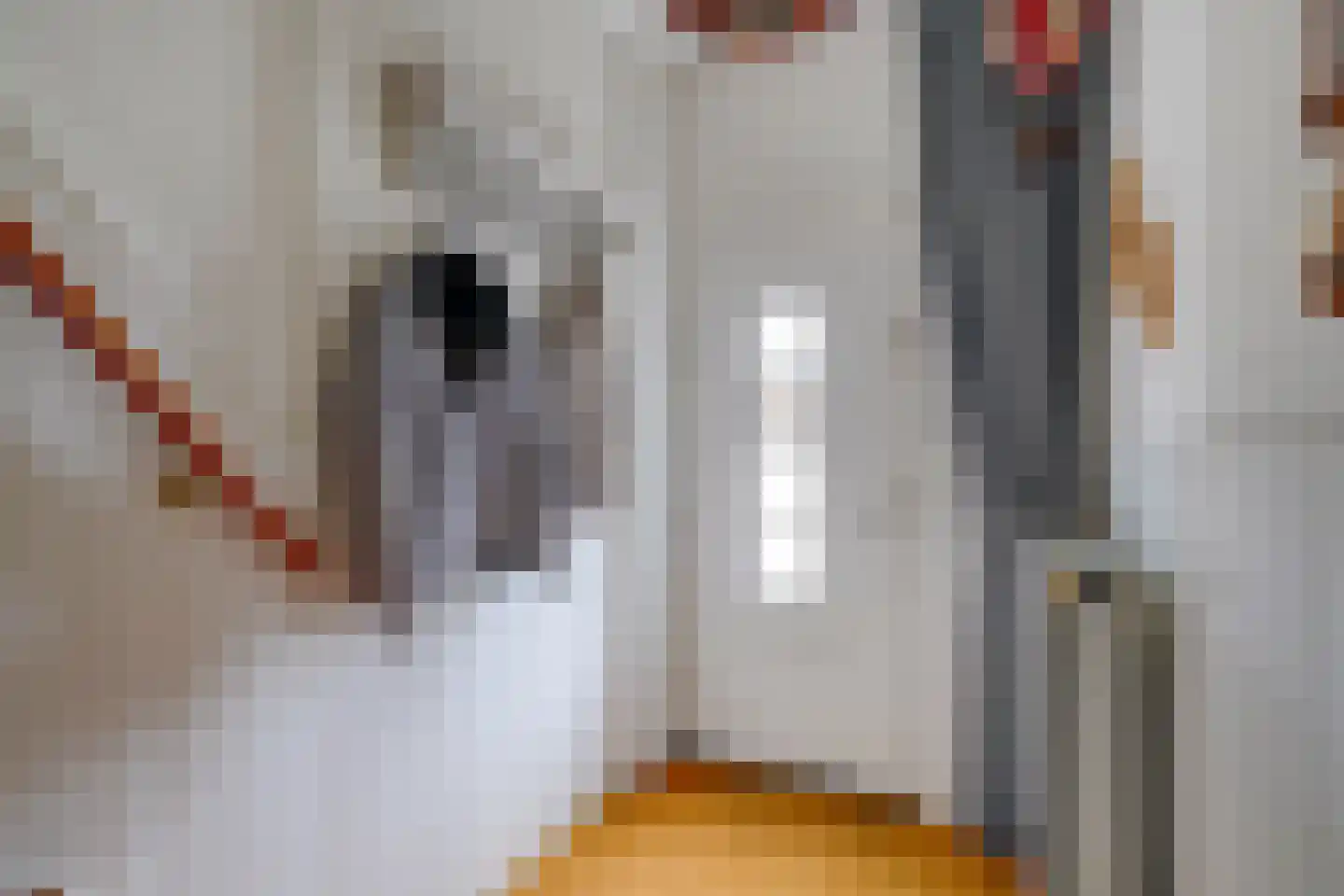 C. van Maasdijkstraat 12 Utrecht thumbnail 8