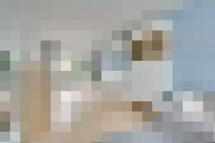 C. van Maasdijkstraat 14 Utrecht thumbnail 5