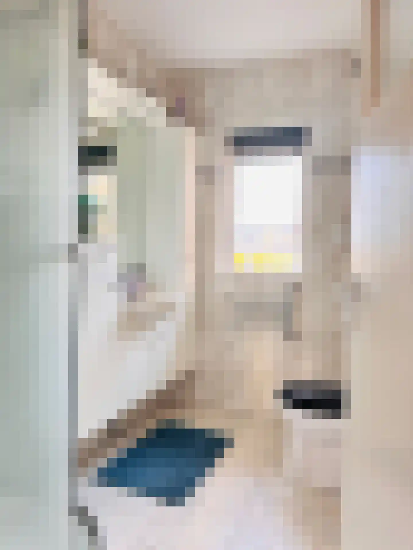 C. van Maasdijkstraat 36 Utrecht thumbnail 4