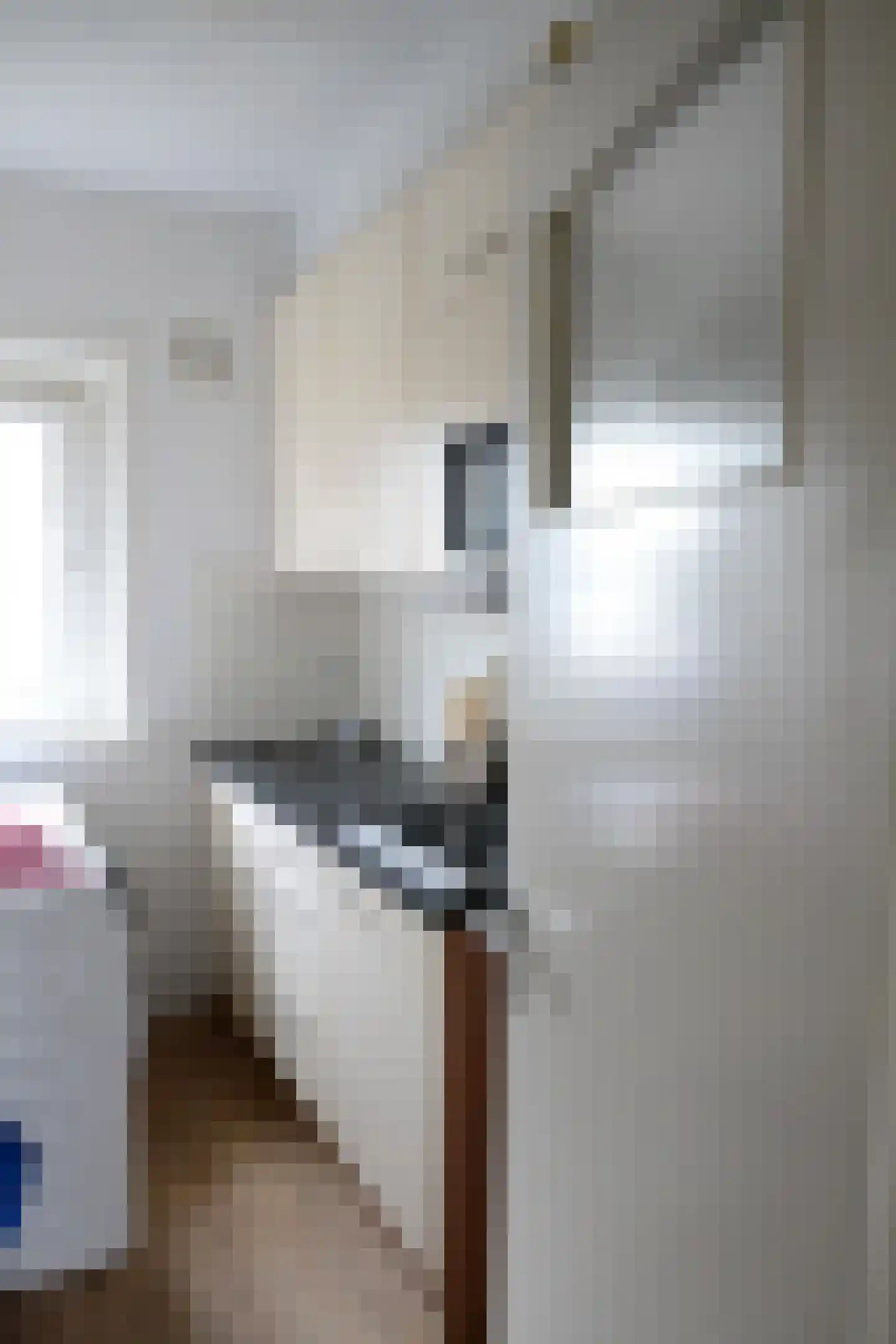 C. van Maasdijkstraat 36 Utrecht thumbnail 8