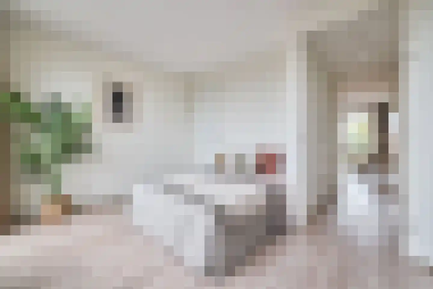 C. van Maasdijkstraat 96 D Utrecht thumbnail 13