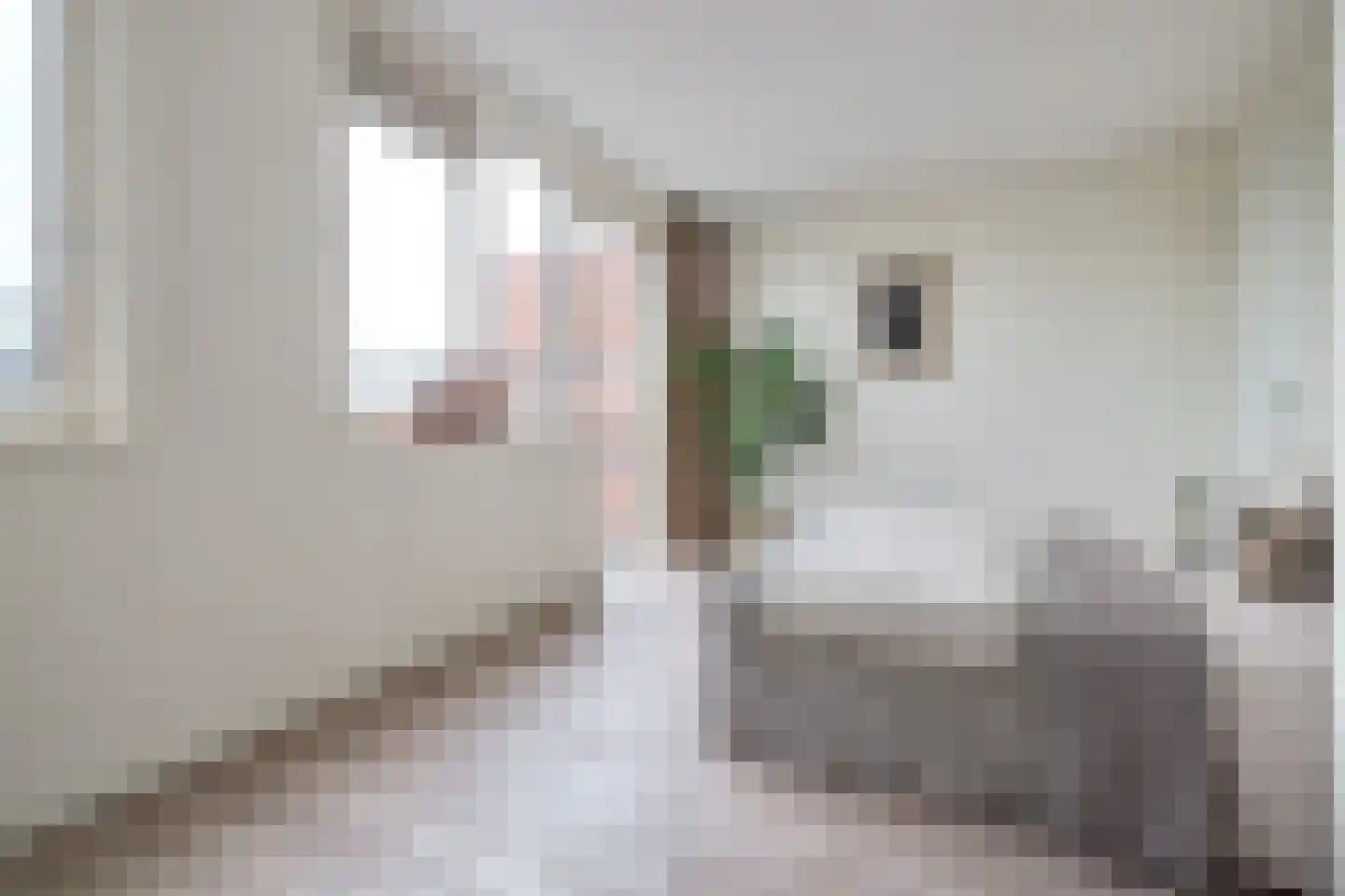 C. van Maasdijkstraat 96 D Utrecht thumbnail 14