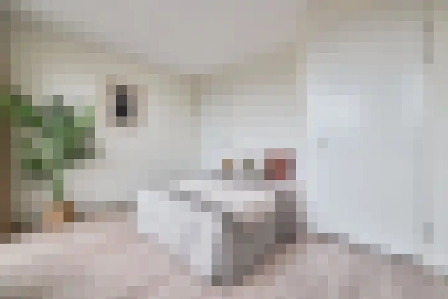 C. van Maasdijkstraat 96 D Utrecht thumbnail 15