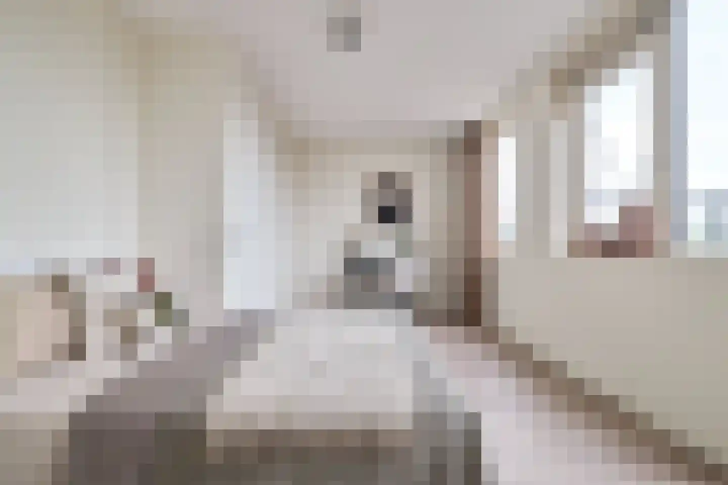 C. van Maasdijkstraat 96 D Utrecht thumbnail 4