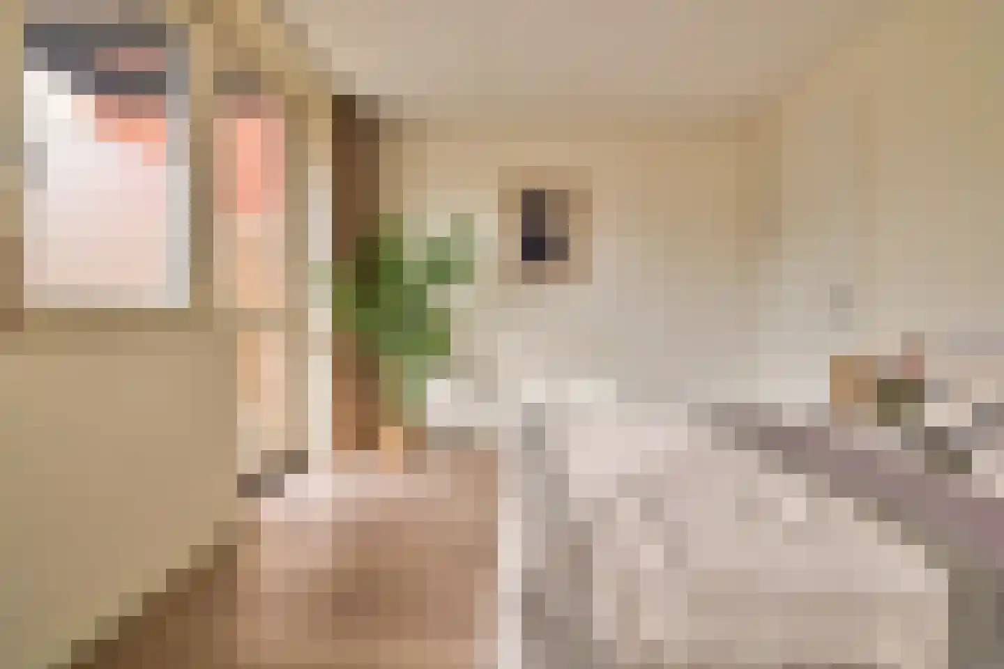 C. van Maasdijkstraat 96 Utrecht thumbnail 16