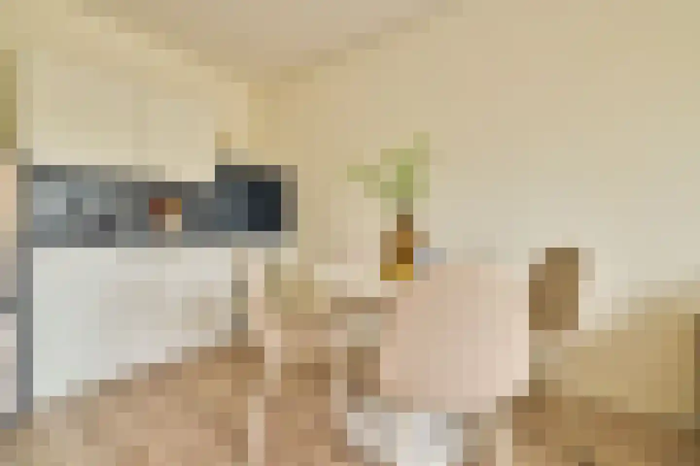 C. van Maasdijkstraat 96 Utrecht thumbnail 9