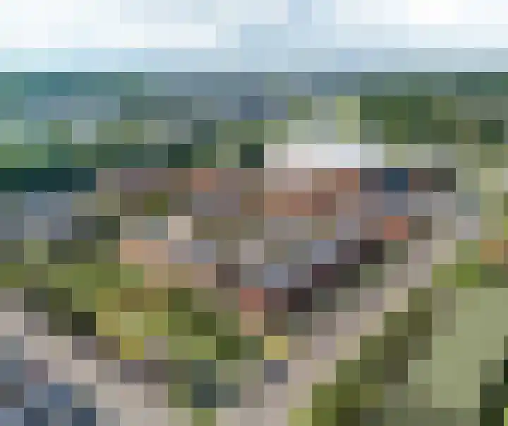 C. Villeriuslaan 4 Spijkenisse thumbnail 4