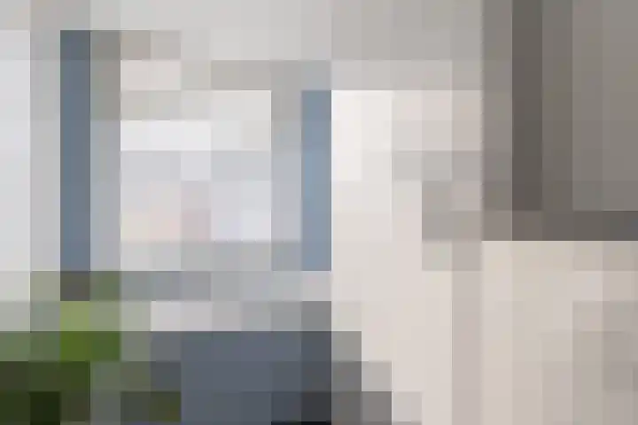C.W.Bruinvisstraat 11 Alkmaar thumbnail 31