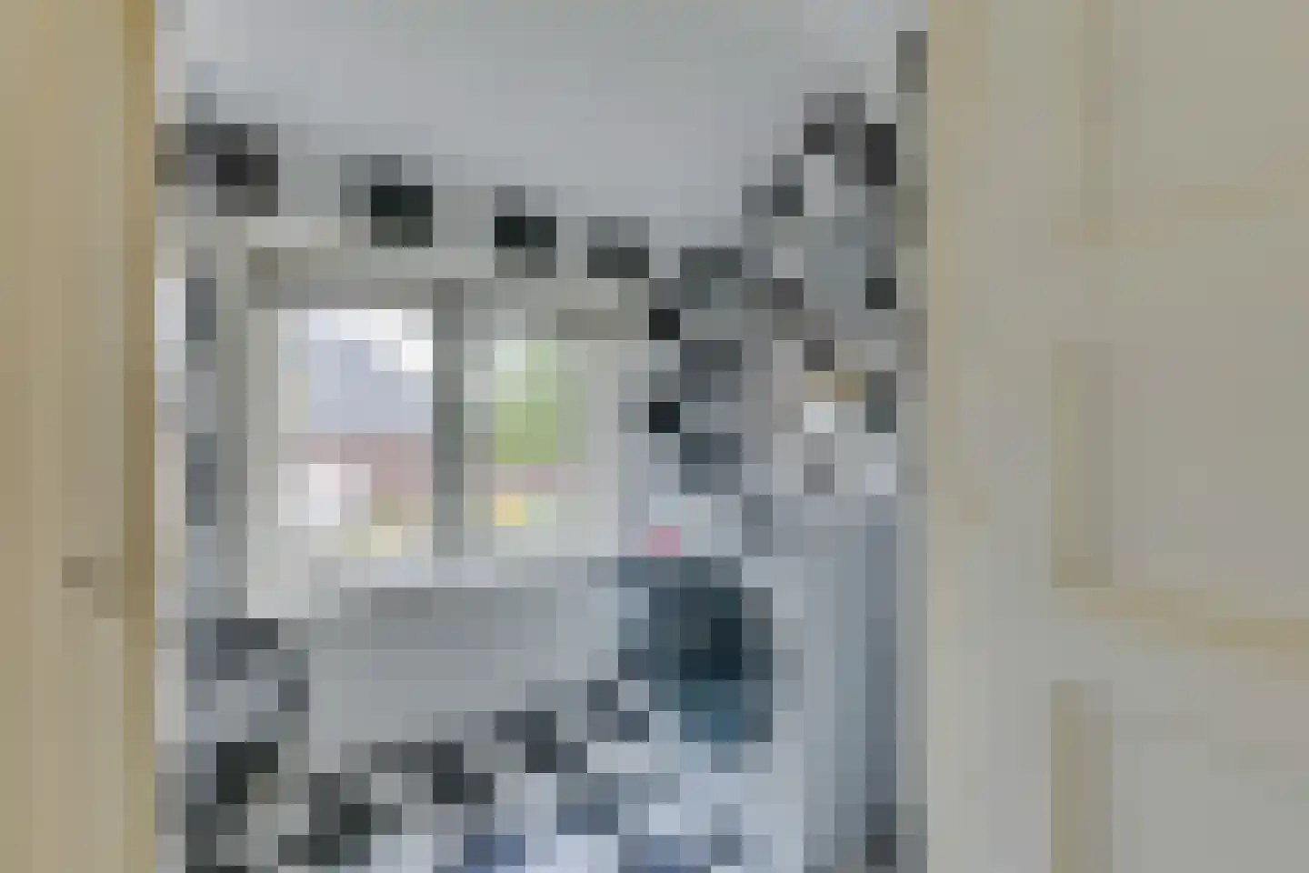 C.W.Bruinvisstraat 25 Alkmaar thumbnail 20