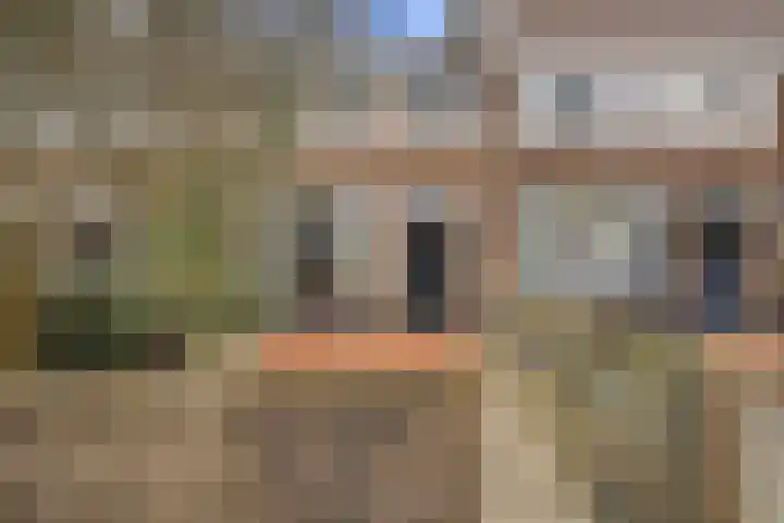 C.W.Bruinvisstraat 31 Alkmaar thumbnail 4