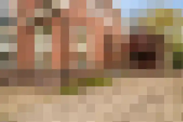 C.W. Lubbersstraat 4 Wildervank thumbnail 11