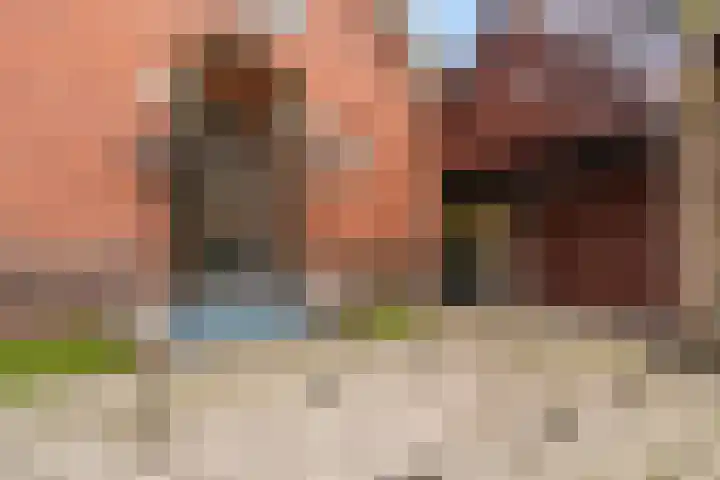 C.W. Lubbersstraat 4 Wildervank thumbnail 14