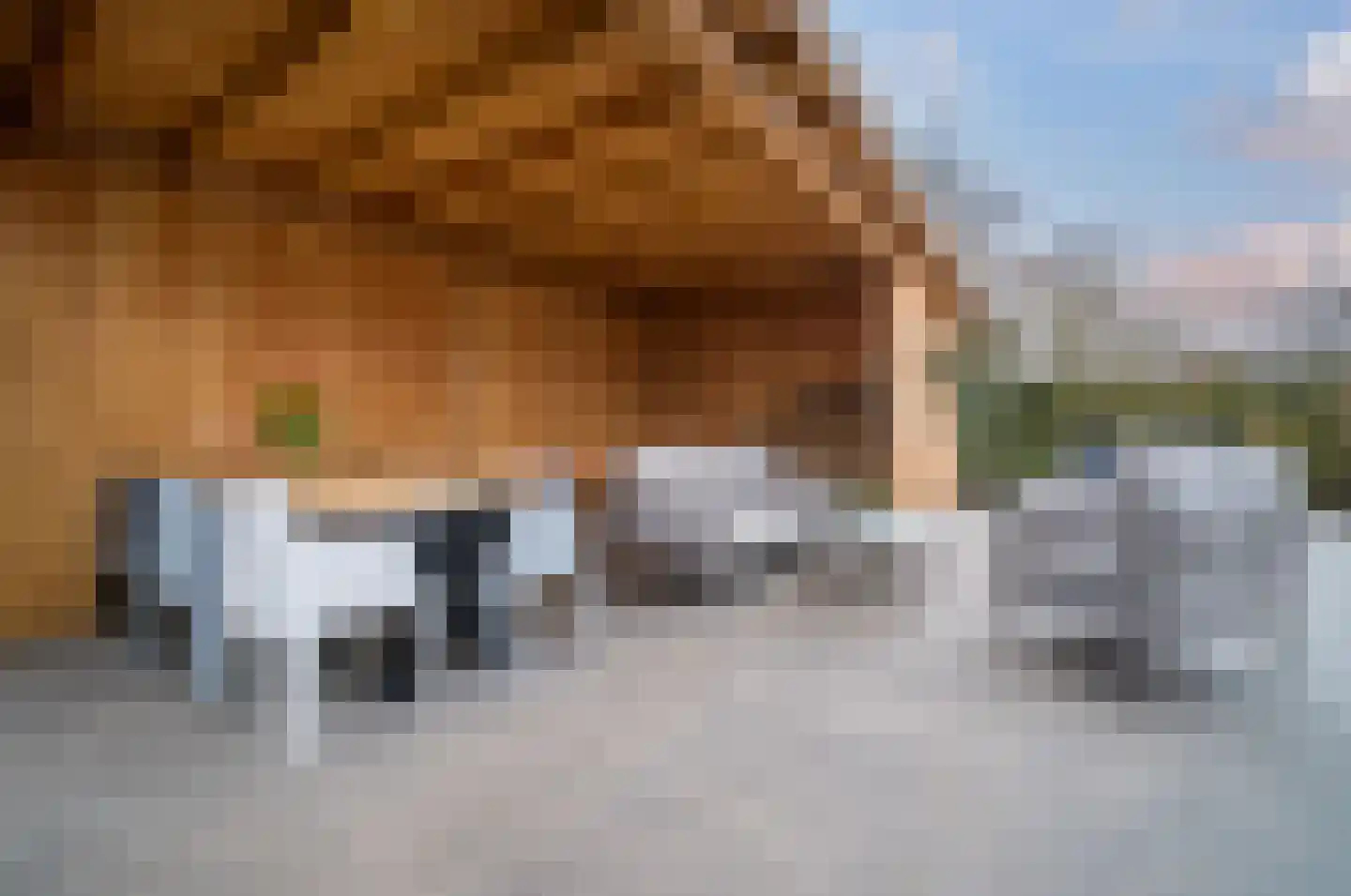 C.W. Sturmstraat 20 Middelburg thumbnail 38