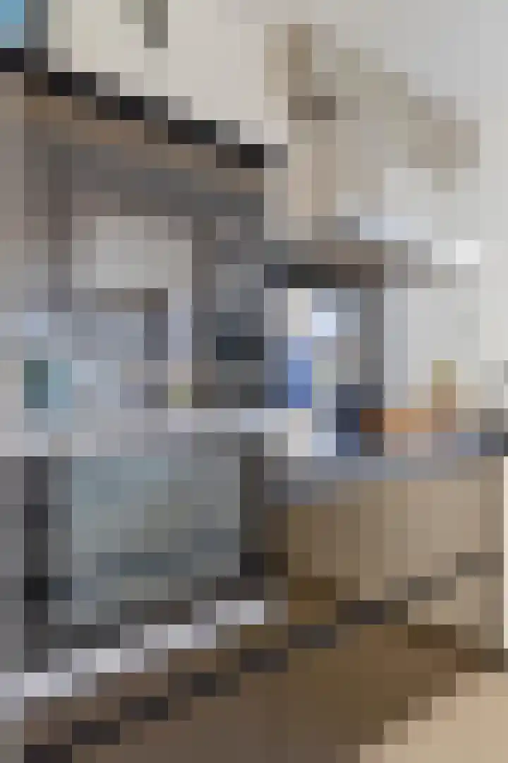 C.W. Sturmstraat 3 Middelburg thumbnail 22