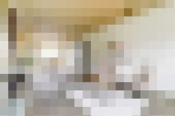 C Wijckhuysstraat 4 Rockanje thumbnail 12