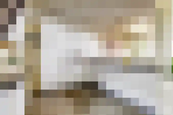 C Wijckhuysstraat 4 Rockanje thumbnail 18