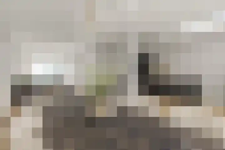 C Wijckhuysstraat 4 Rockanje thumbnail 20