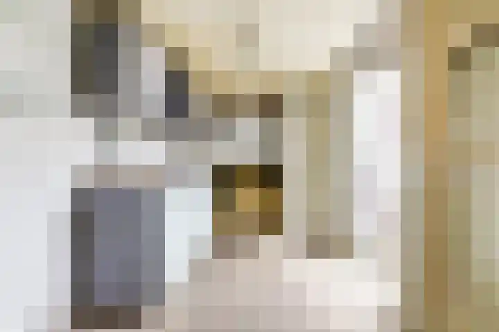 C Wijckhuysstraat 4 Rockanje thumbnail 22