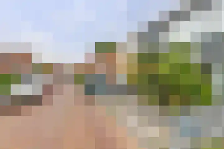C Wijckhuysstraat 4 Rockanje thumbnail 35
