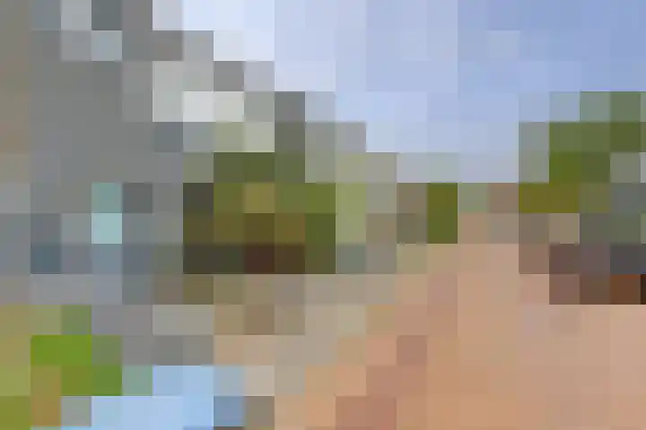 C Wijckhuysstraat 4 Rockanje thumbnail 36