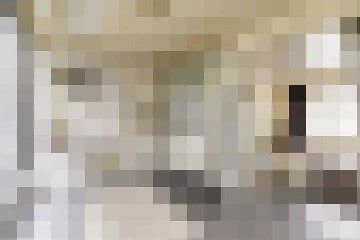 C Wijckhuysstraat 4 Rockanje thumbnail 5