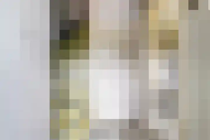 C Wijckhuysstraat 4 Rockanje thumbnail 7