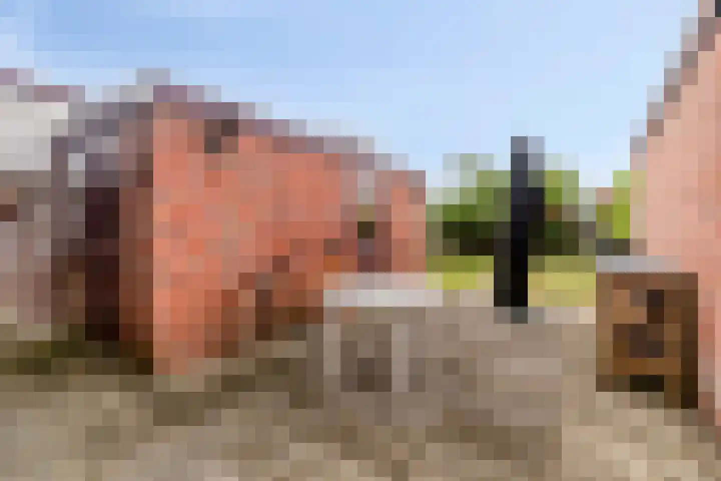 C Wijckhuysstraat 5 Rockanje thumbnail 23