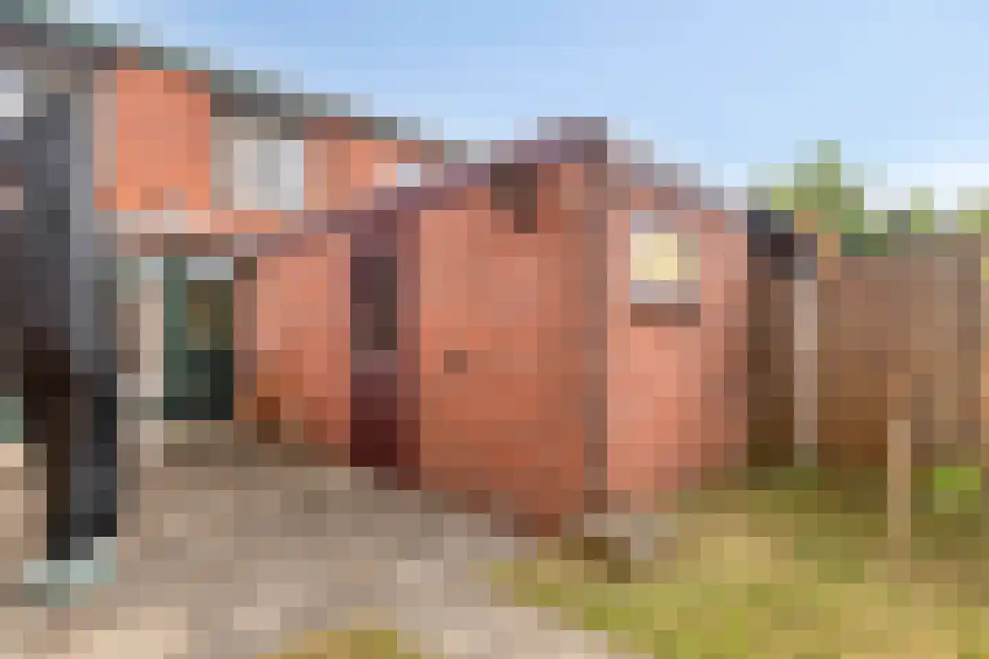 C Wijckhuysstraat 5 Rockanje thumbnail 26