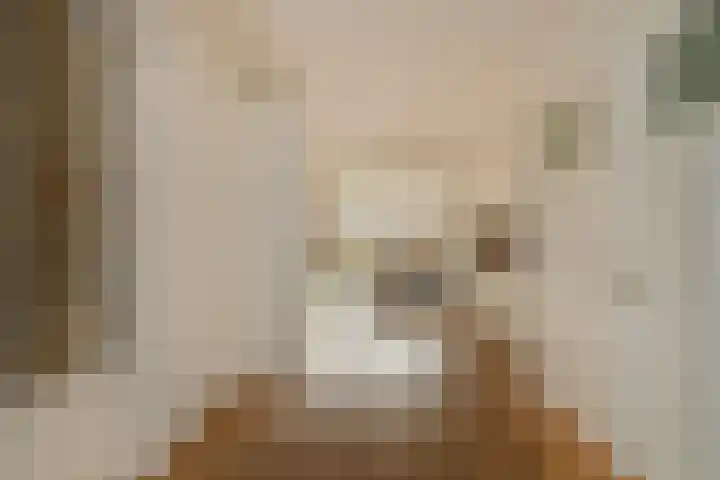 Caan van Necklaan 100 Rijswijk thumbnail 10