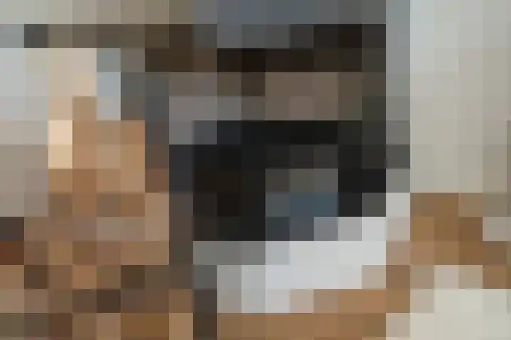 Caan van Necklaan 100 Rijswijk thumbnail 12