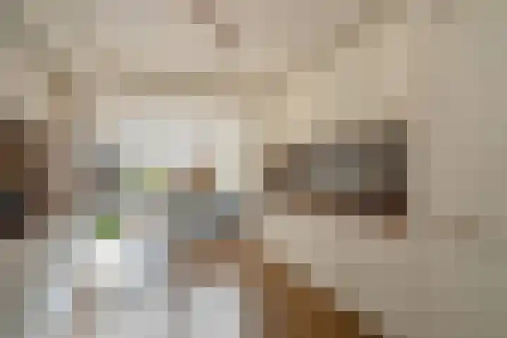 Caan van Necklaan 100 Rijswijk thumbnail 17