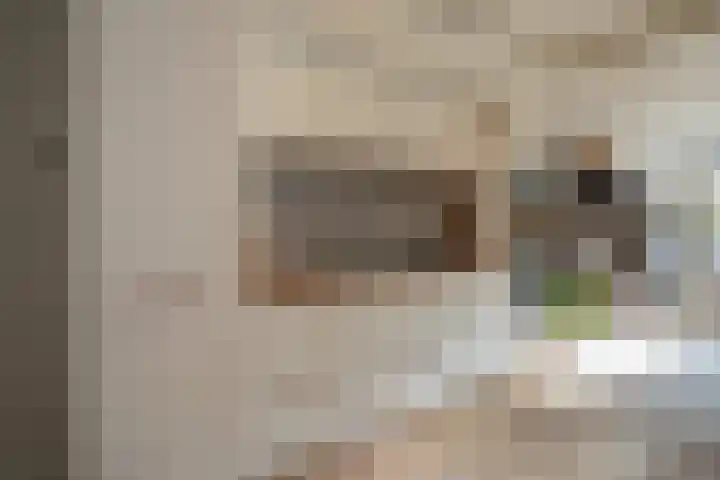 Caan van Necklaan 100 Rijswijk thumbnail 19